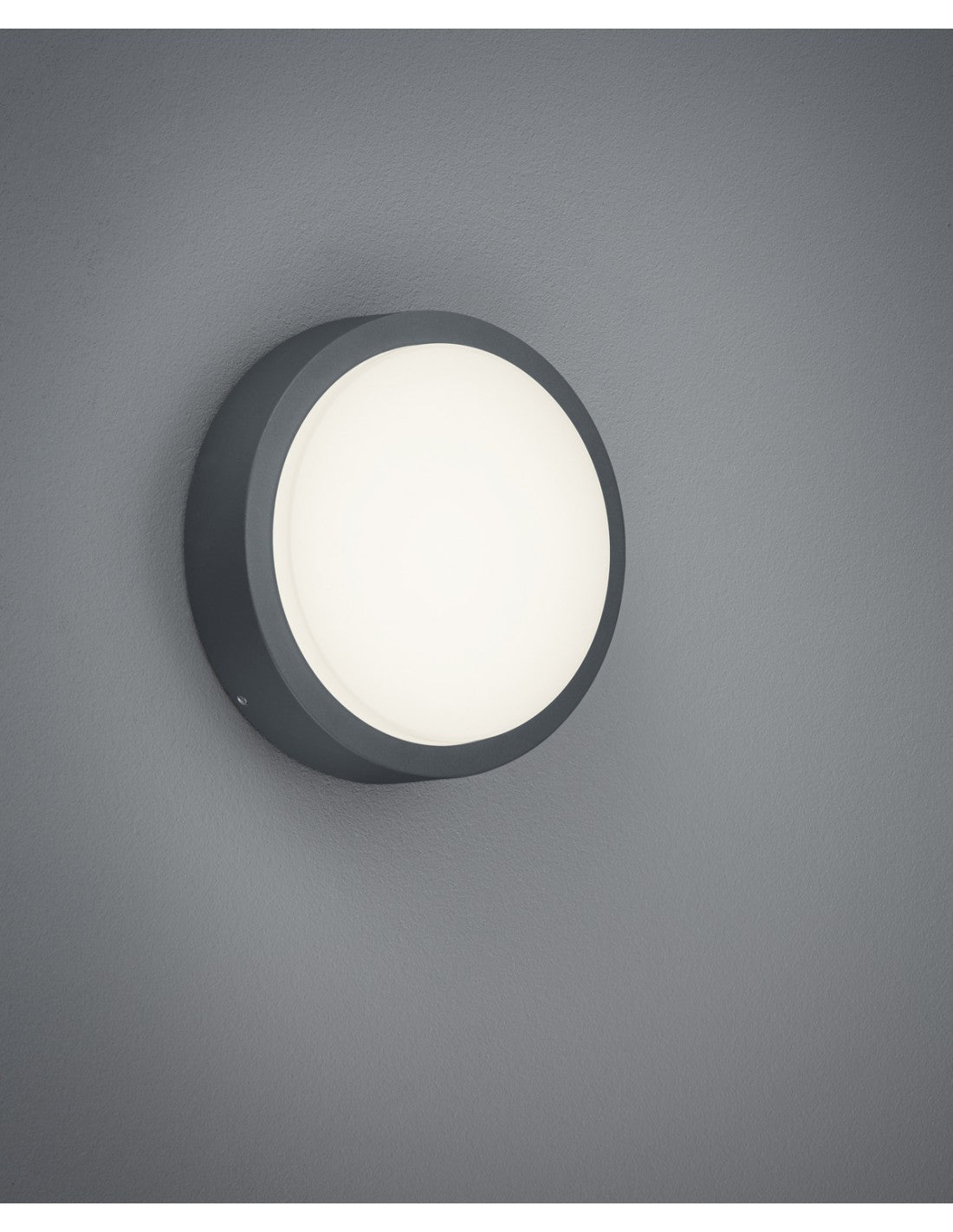 Plafoniera Da Esterno Breg Antracite IP54 Ø20 cm Trio Lighting