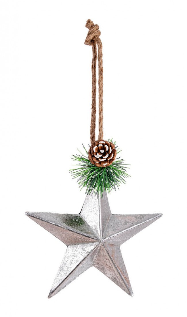 12x Pendaglio Enlight Stella Argento C
