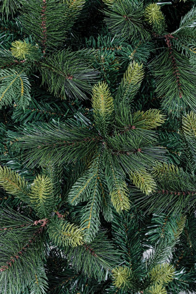 Albero Tauri H270-2376Rami