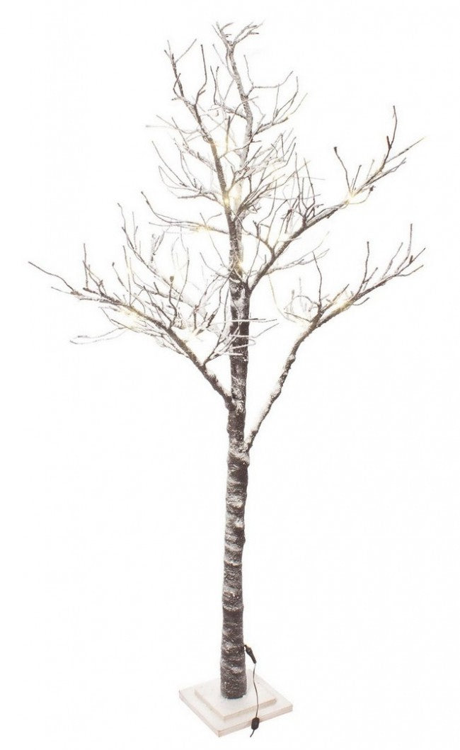 2x Albero Timber Fat H210