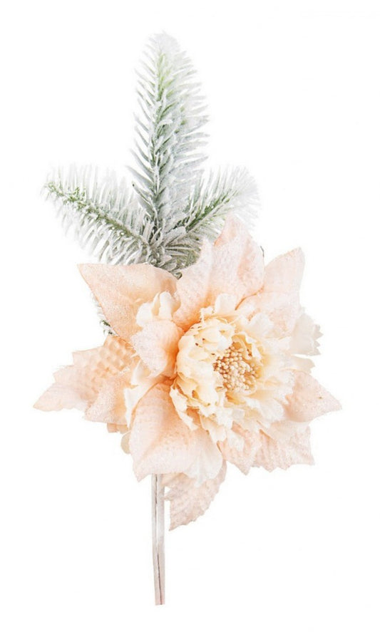 12x Pick Poinsezia Haylie Champagne